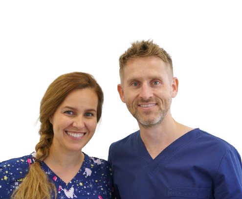 male and female dentist